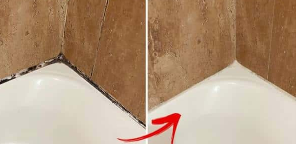 How to Remove Mold from Silicone Seals? Light Recipes