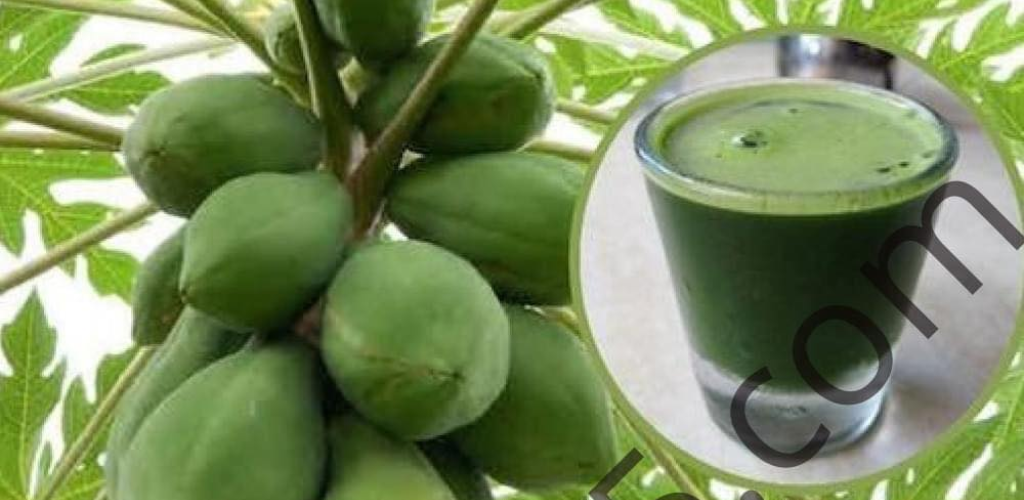 Papaya Leaves Miracle Product Against Cancer, Digestion… Light Recipes