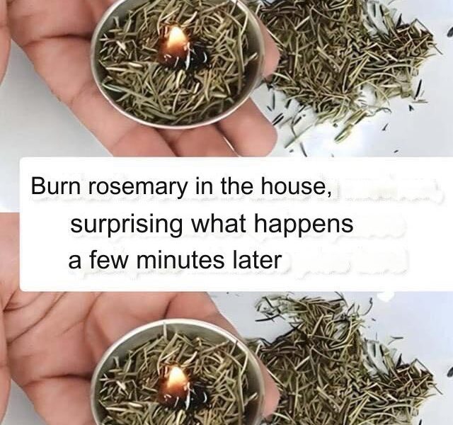Burn 1 Sprig of Rosemary at Home and See What Happens After 10 Minutes